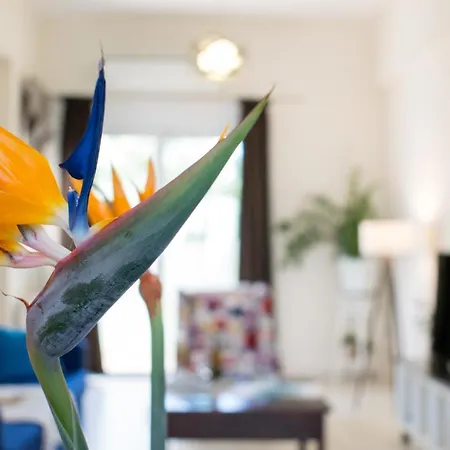 Blue Iris: Stylish Just 10 Minutes Walk From Old Town Chania *