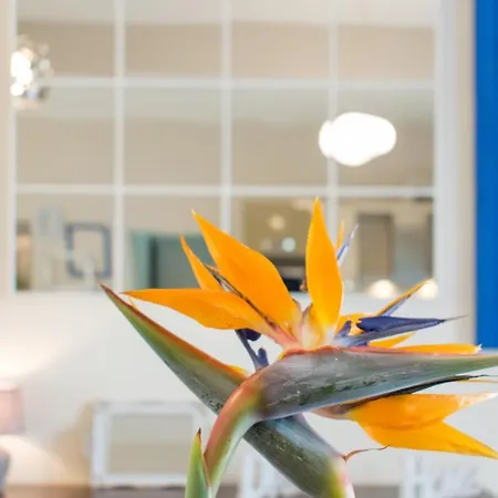 Apartman Blue Iris: Stylish Just 10 Minutes Walk From Old Town Chania Hriszí Aktí Haniá