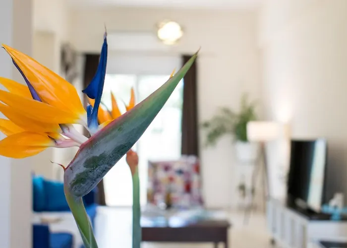 Blue Iris: Stylish Just 10 Minutes Walk From Old Town Chania *