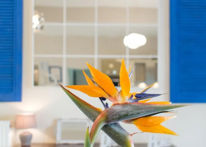 Apartment Blue Iris: Stylish Just 10 Minutes Walk From Old Town Chania Chania (Crete)